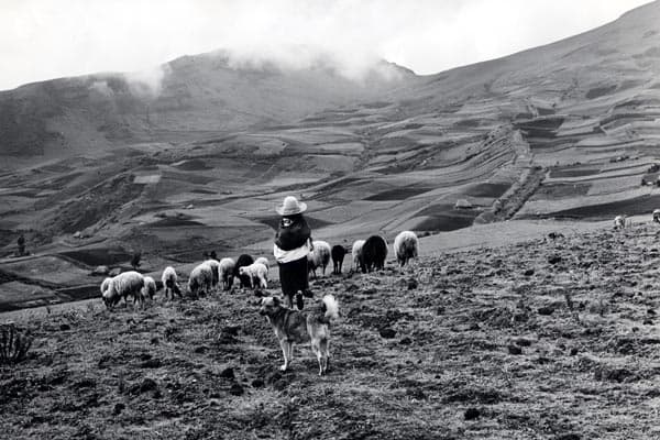 পেরু (Peru), দক্ষিণ আমেরিকা (South America)। ছবিঃ IOM / 1971